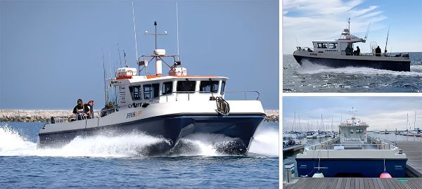 Charter Boat 'Fins-up'